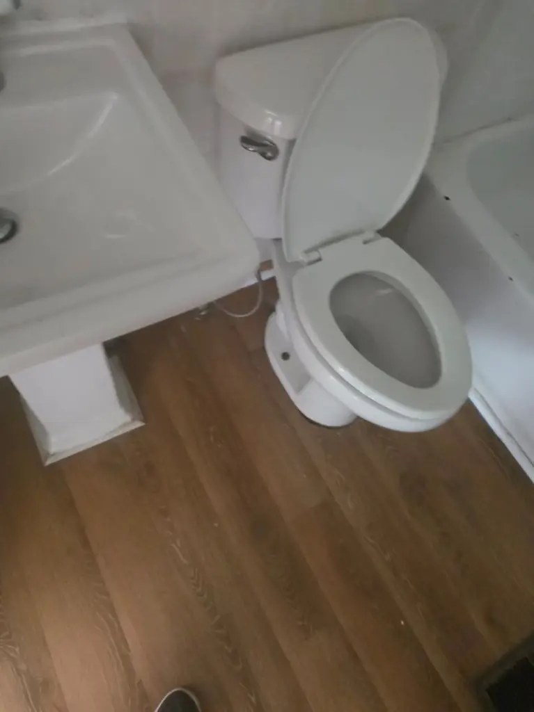 12.webp